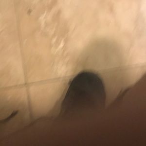 Meet your Posher, Roderick